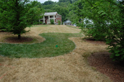 Monument Park paths and landscaping marked out