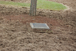 The Kentucky Coffee Tree Monument Plaque